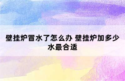 壁挂炉冒水了怎么办 壁挂炉加多少水最合适